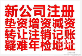 代理公司注冊(cè)與軟件開(kāi)發(fā) 一站式企業(yè)服務(wù)解決方案